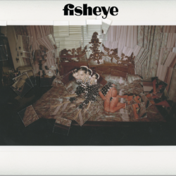 Fisheye 27.01.23